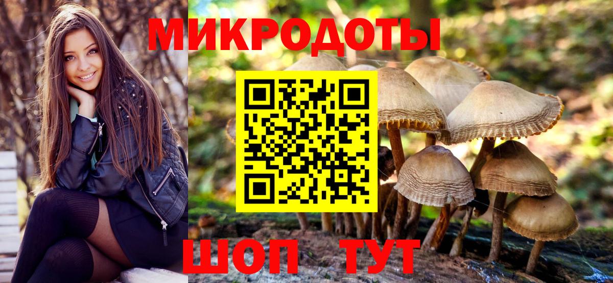 Галлюциногенные грибы GOLDEN TEACHER  Псилоцибиновые грибы Cubensis  Вход с VPN  Приморско-Ахтарск 